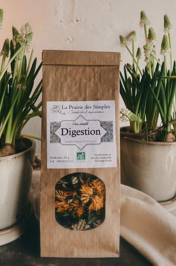 Infusion Digestion